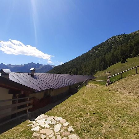 Restor Natura Malga Mondent Hotell Pracorno di Rabbi Exteriör bild