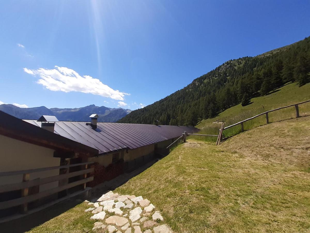Restor Natura Malga Mondent Hotell Pracorno di Rabbi Exteriör bild
