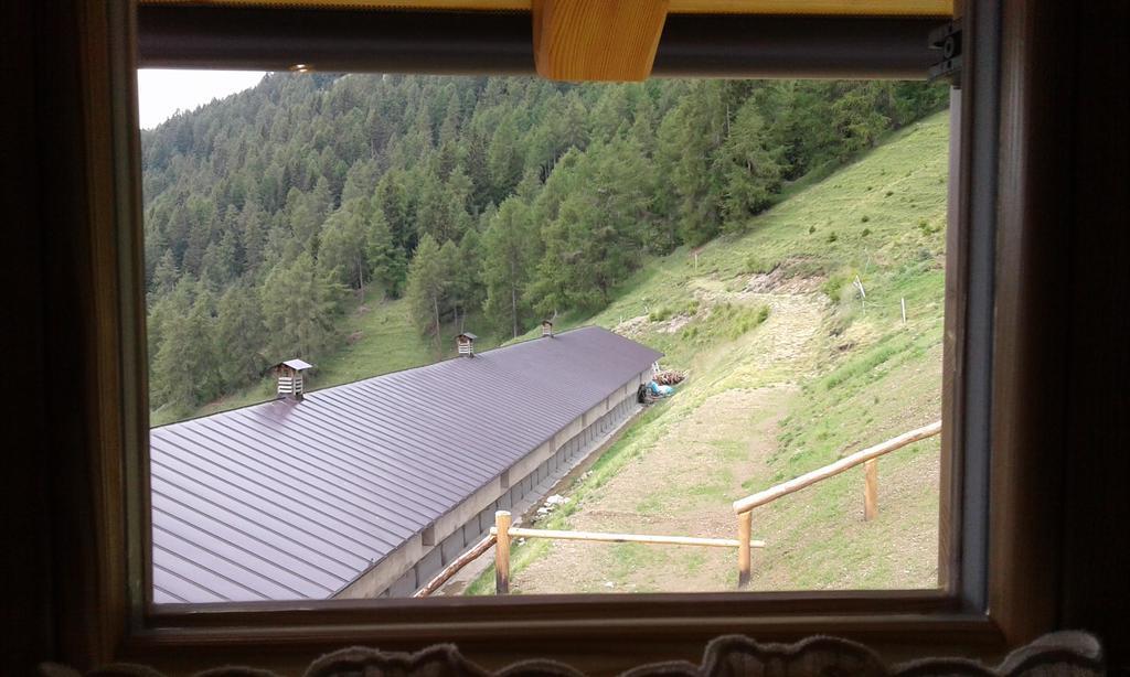 Restor Natura Malga Mondent Hotell Pracorno di Rabbi Exteriör bild